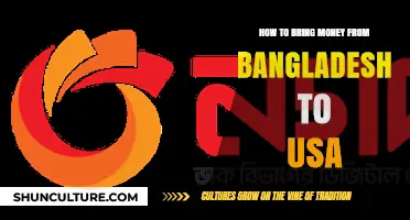 Transferring Money from Bangladesh to the USA: A Comprehensive Guide