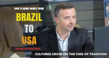 Transferring Funds from Brazil to the USA: A Comprehensive Guide