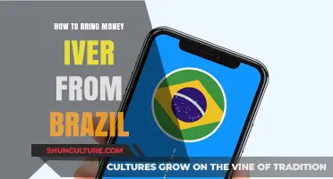 Transferring Money from Brazil: A Step-by-Step Guide to Smooth Transactions