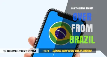 Transferring Funds from Brazil: A Step-by-Step Guide to Bringing Money Home