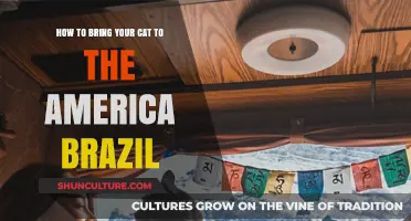 Bringing Your Cat to America from Brazil: A Step-by-Step Guide
