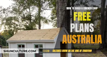 Building a Chicken Coop: Free Australian Plans and Guide