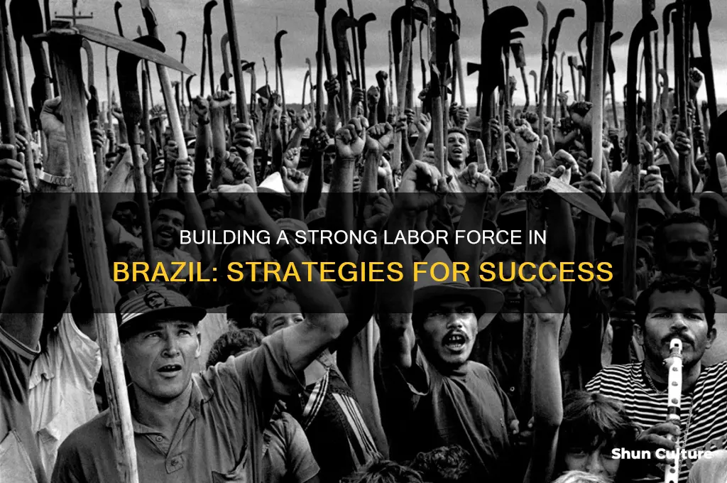 how to build a labor force in brazil