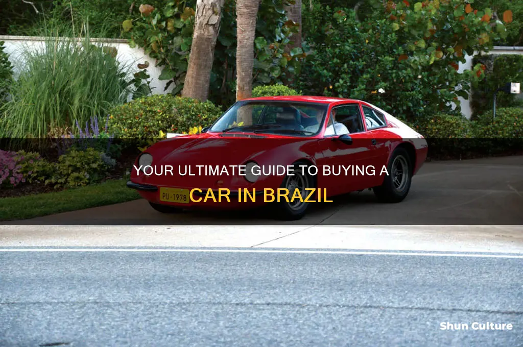 how to buy a car in brazil