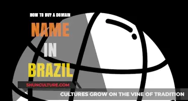 Step-by-Step Guide to Purchasing a Domain Name in Brazil