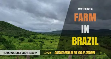Buying a Farm in Brazil: A Comprehensive Guide for Investors