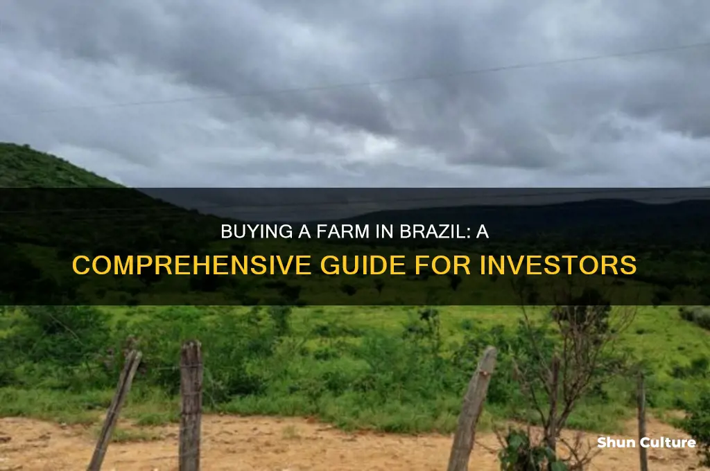 how to buy a farm in brazil
