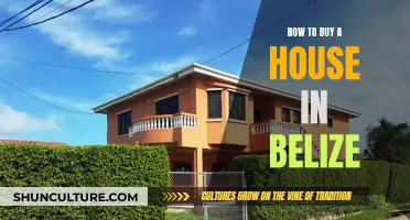 Belize Real Estate: A Guide to Buying Your Dream Home