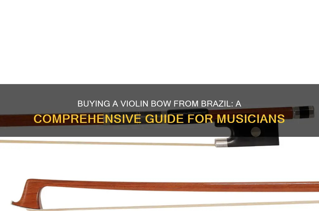 how to buy a violin bow from brazil