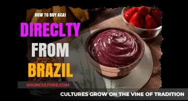 Directly Sourcing Acai: A Guide to Buying from Brazil
