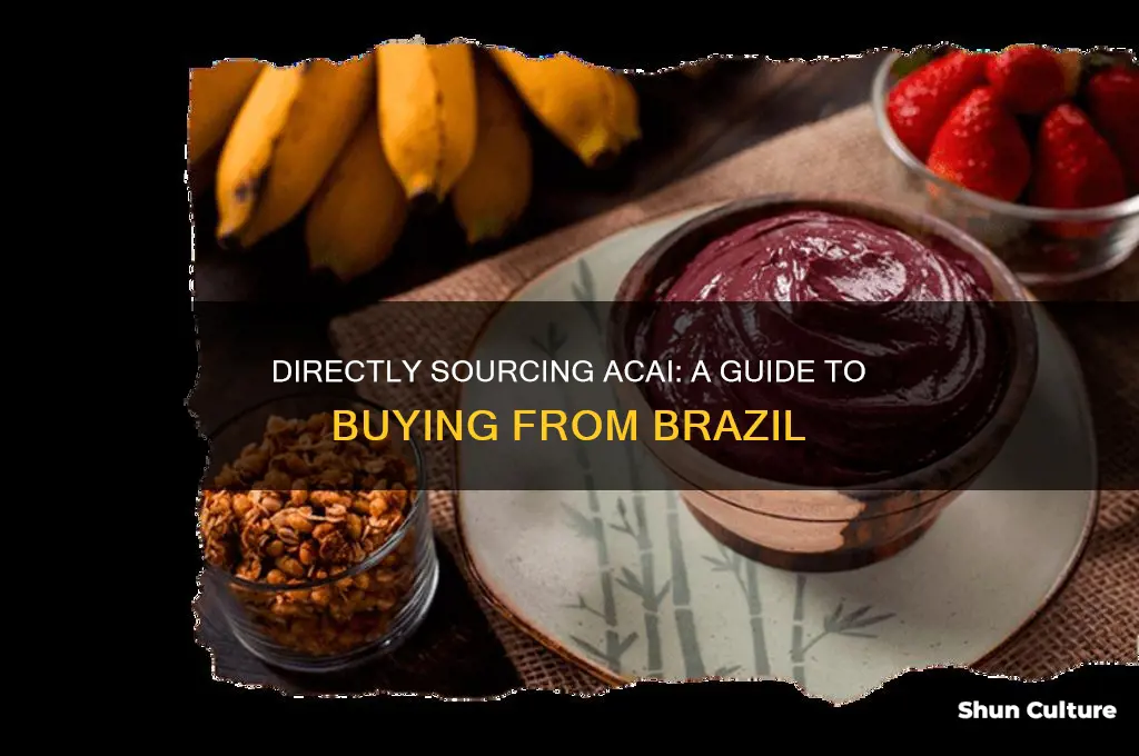 how to buy acai direclty from brazil