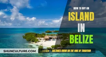 Belize Island Buying: A Tropical Paradise Purchase Guide