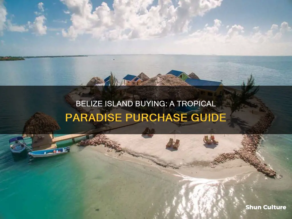 how to buy an island in belize