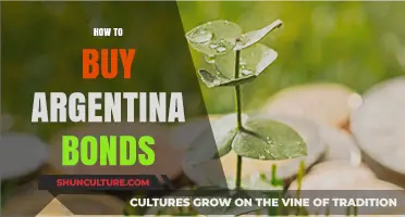 Navigating the Market: A Guide to Purchasing Argentina Bonds