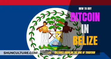 Belize Bitcoin Buying: A Guide to Getting Started