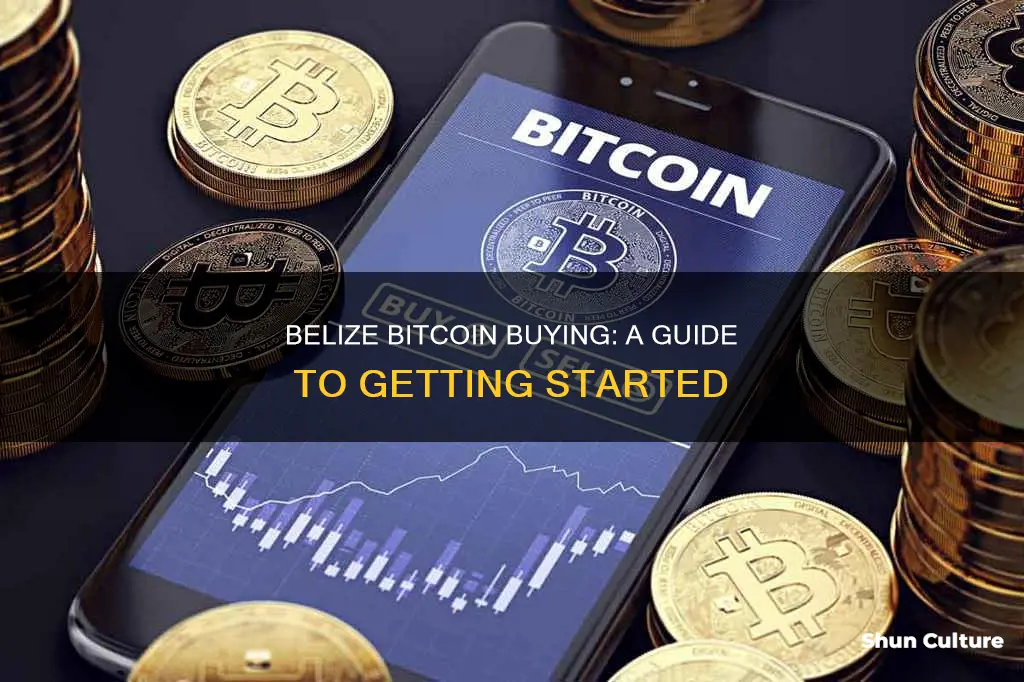 how to buy bitcoin in belize