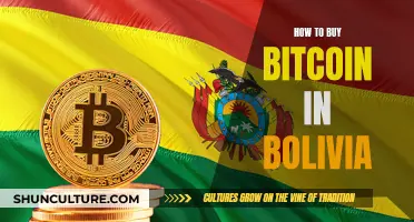 Buying Bitcoin in Bolivia: A Step-by-Step Guide