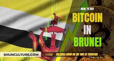 A Beginner's Guide: Buying Bitcoin in Brunei