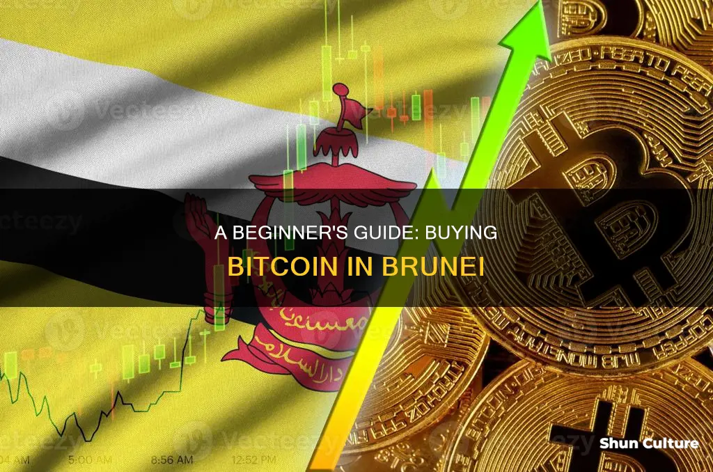 how to buy bitcoin in brunei