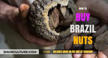 A Comprehensive Guide to Buying High-Quality Brazil Nuts