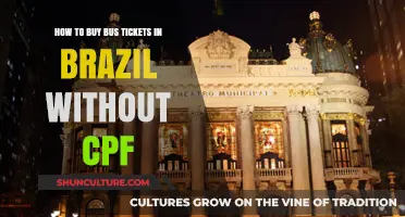 Buying Bus Tickets in Brazil Without a CPF: A Simple Guide