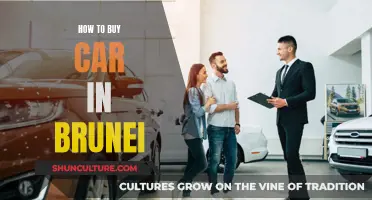 A Guide to Buying Cars in Brunei