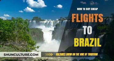 Smart Tips for Finding Affordable Flights to Brazil Easily
