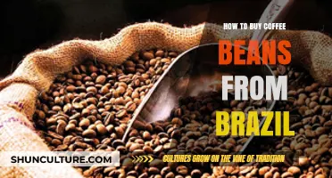 A Beginner's Guide to Buying Authentic Brazilian Coffee Beans
