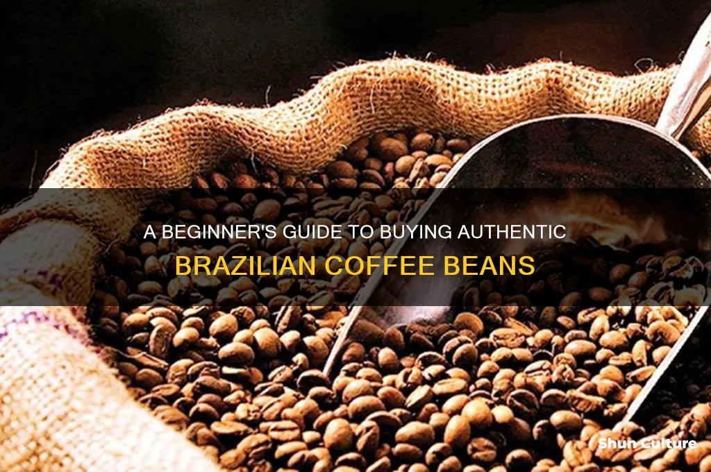how to buy coffee beans from brazil