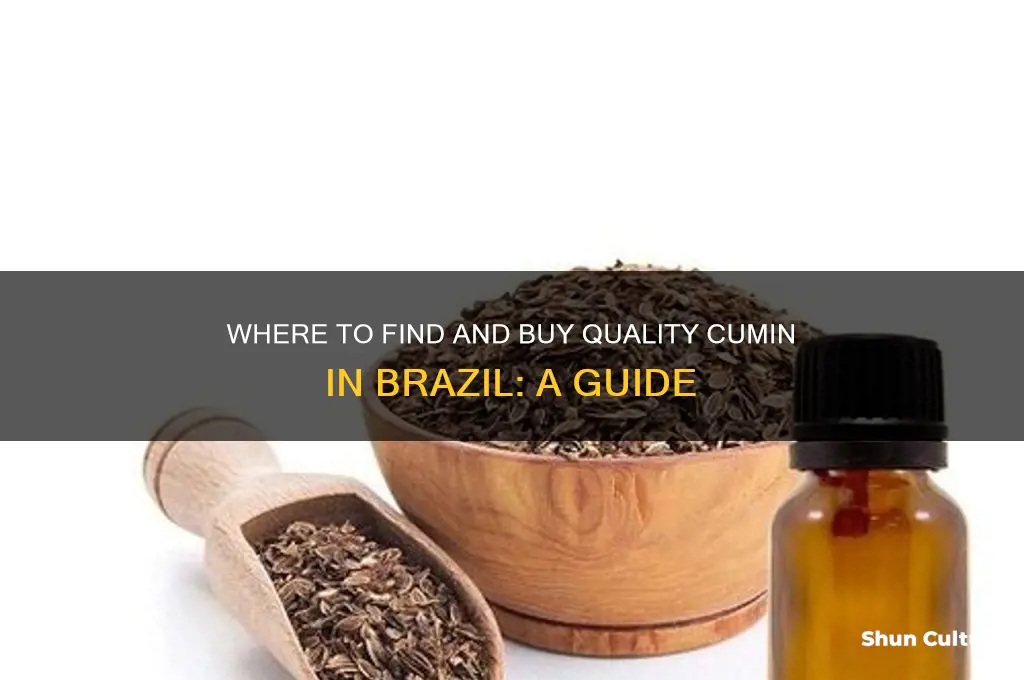 how to buy cumin in brazil
