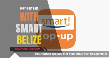 Purchasing Data Made Easy: Smart Belize Simplifies Your Digital Life