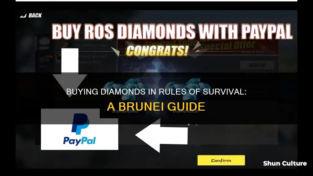 how to buy diamond in rules of survival brunei