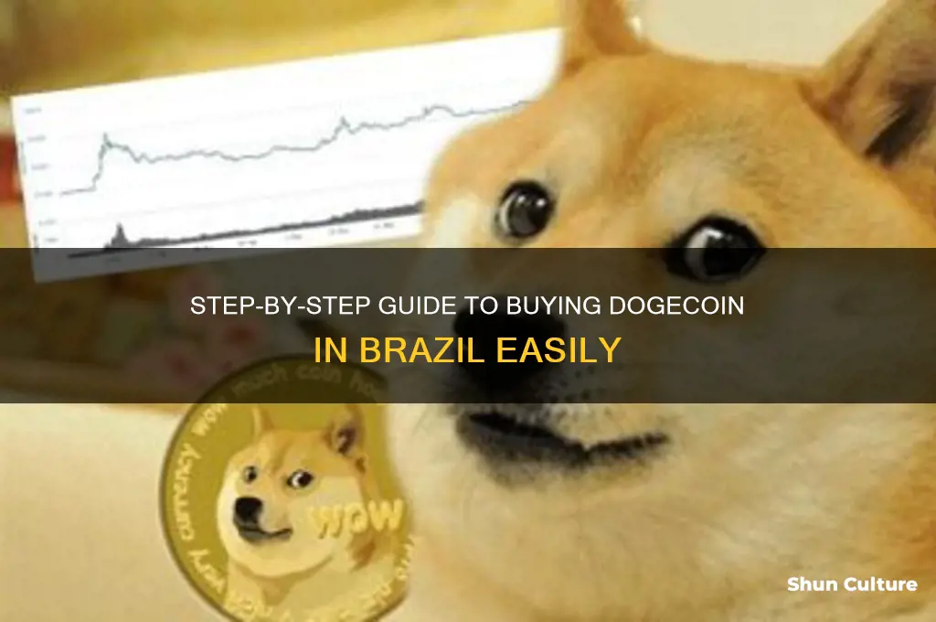 how to buy dogecoin in brazil