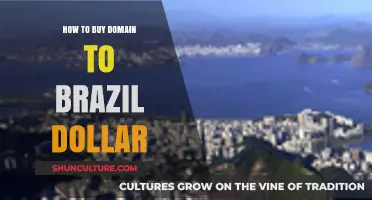 Buying a Brazilian Domain with US Dollars: A Step-by-Step Guide
