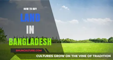 A Comprehensive Guide to Purchasing Land in Bangladesh