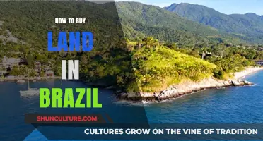 Your Guide to Purchasing Land in Brazil: Tips and Insights