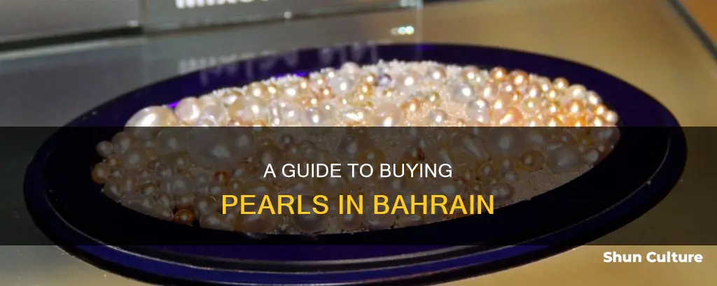 how to buy pearls in bahrain