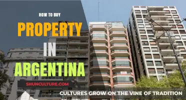 Navigating the Argentine Real Estate Market: A Comprehensive Guide