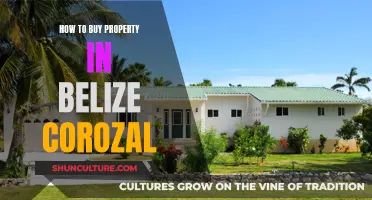 Unlocking the Secrets to Buying Property in Belize's Corozal District