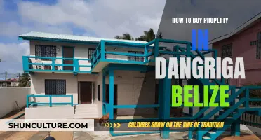 Purchasing Property in Dangriga, Belize: A Comprehensive Guide