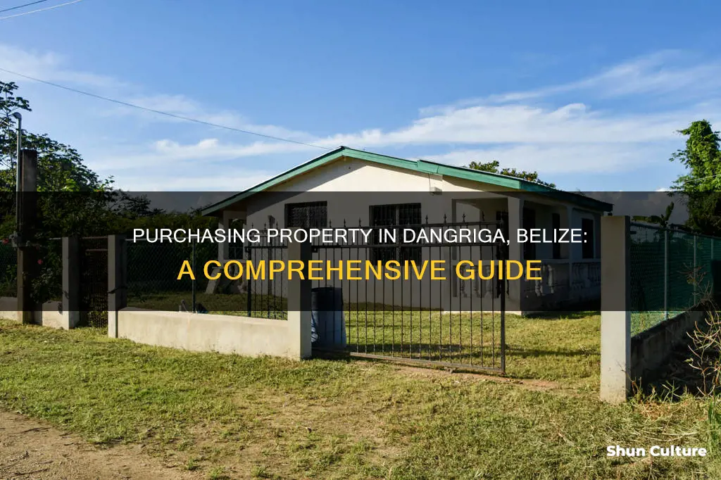 how to buy property in dangriga belize