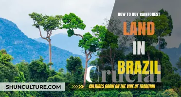 Secure Your Slice of Brazil's Rainforest: A Land Buying Guide