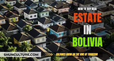 A Guide to Buying Real Estate in Bolivia