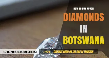 A Beginner's Guide to Purchasing Rough Diamonds in Botswana