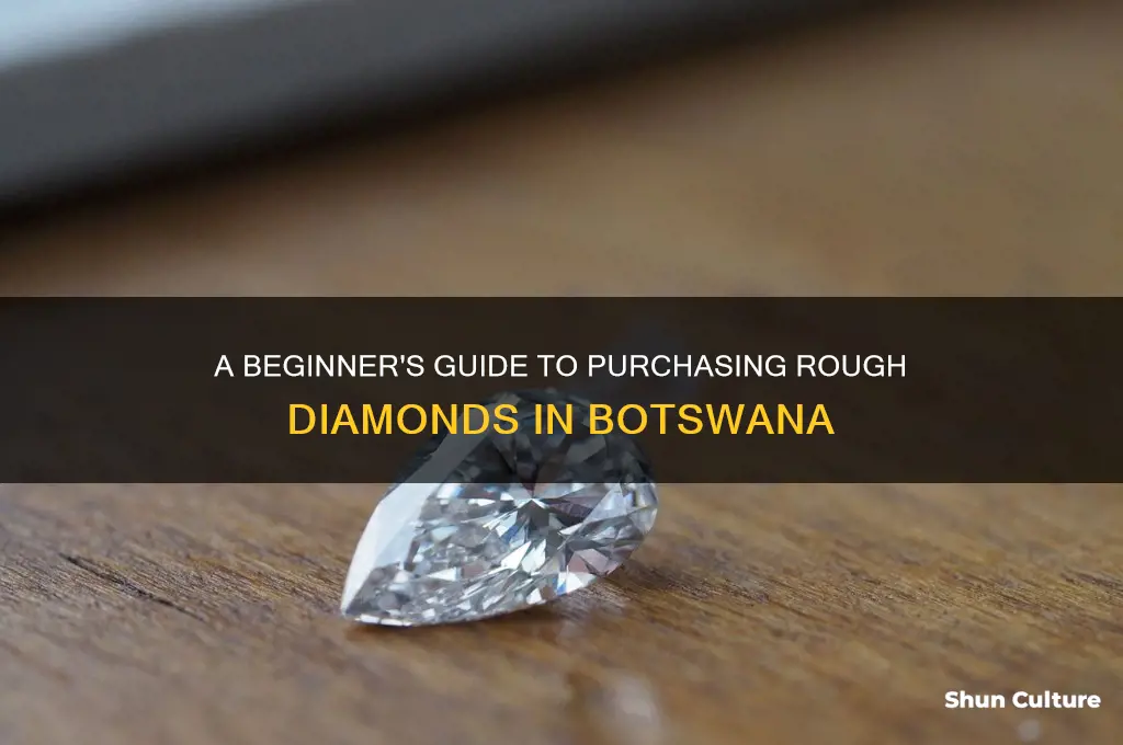 how to buy rough diamonds in botswana