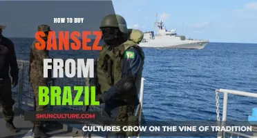 A Step-by-Step Guide to Purchasing Sansez Products from Brazil