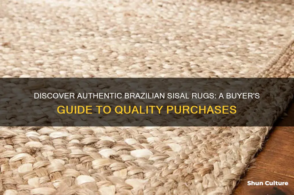 how to buy sisal rug from brazil