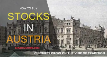 A Beginner's Guide to Stock Investing in Austria