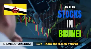 A Guide to Buying Stocks in Brunei