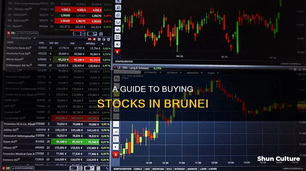 how to buy stocks in brunei